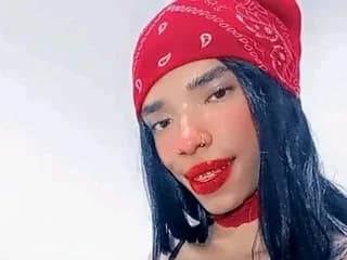 WebCAM of LEIRY_RAYSHEEL_HOT